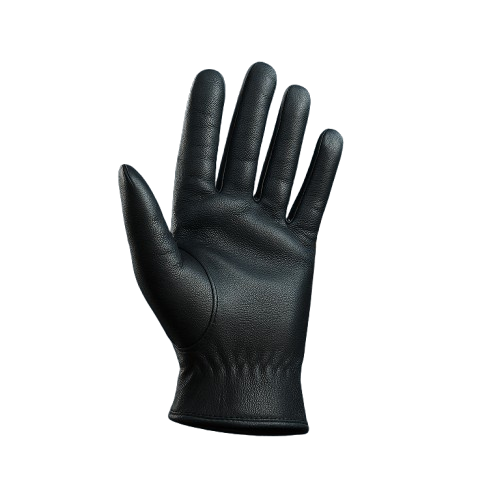 Aala Glove Product